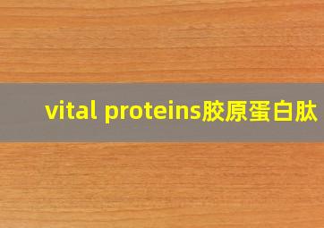 vital proteins胶原蛋白肽